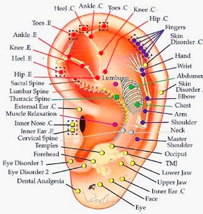 Open  on Think Of It As Reflexology For The Ear  Instead Of The Hands Or Feet
